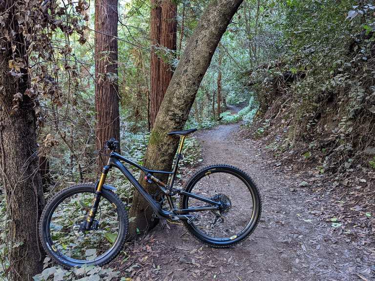 Palos Colorados Trail Joaquin Miller Park Mountain Bike Trails