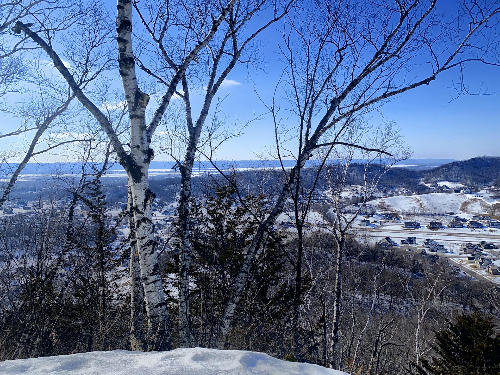 Bare birch trees frame a snowy valley with a distant town.
