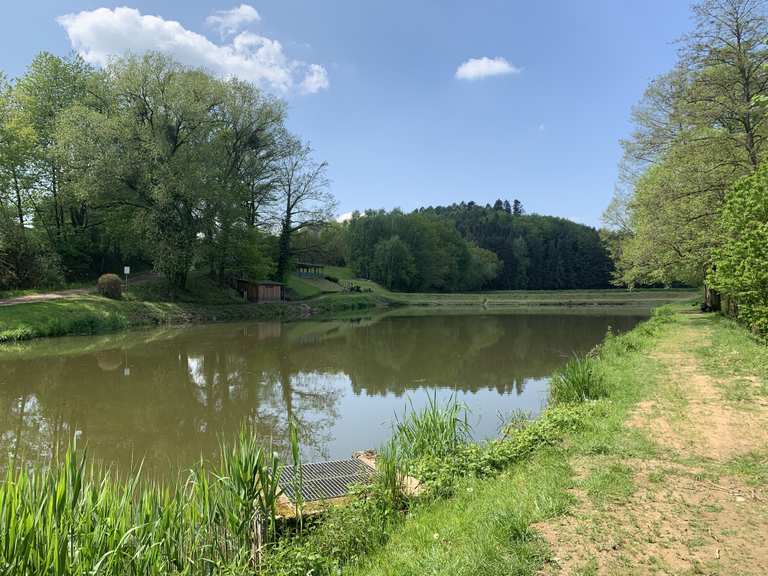 ForellenTeich in Rimbach Mountain Bike Trails & Tracks Komoot