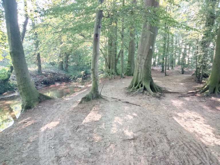 Lutter Wald NordrheinWestfalen, Deutschland Radtouren