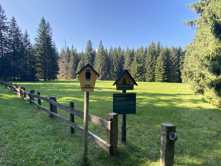 Himmelswiese Routes for Walking and Hiking Komoot