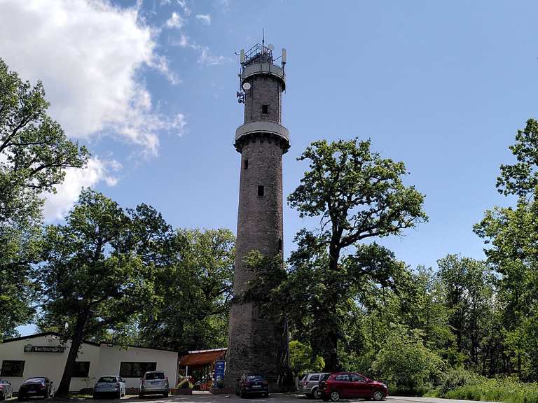 Langenselbold: Buchbergturm: Wanderungen und Rundwege | komoot