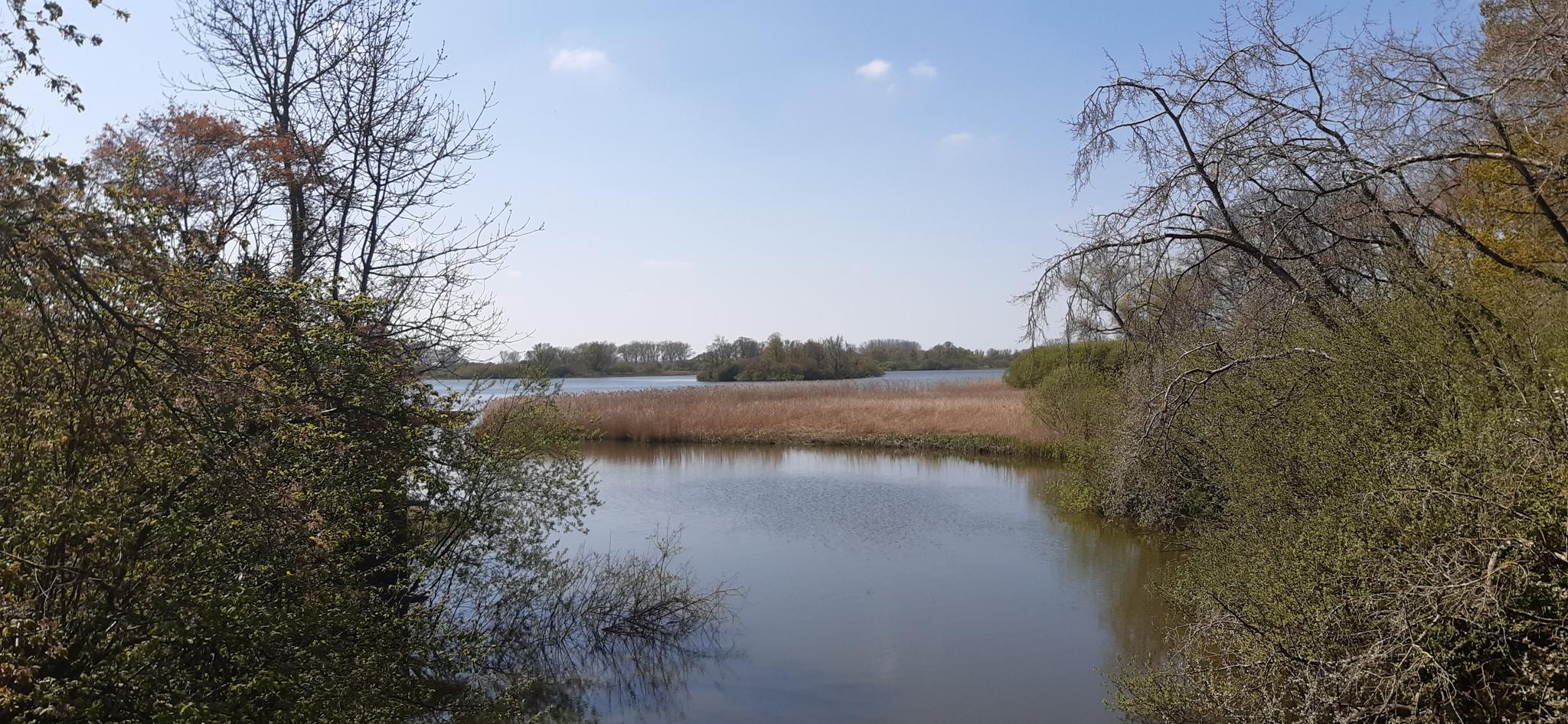 Zicht Op Kasteel De Blankaart Wandelroutes En Hikes | Komoot