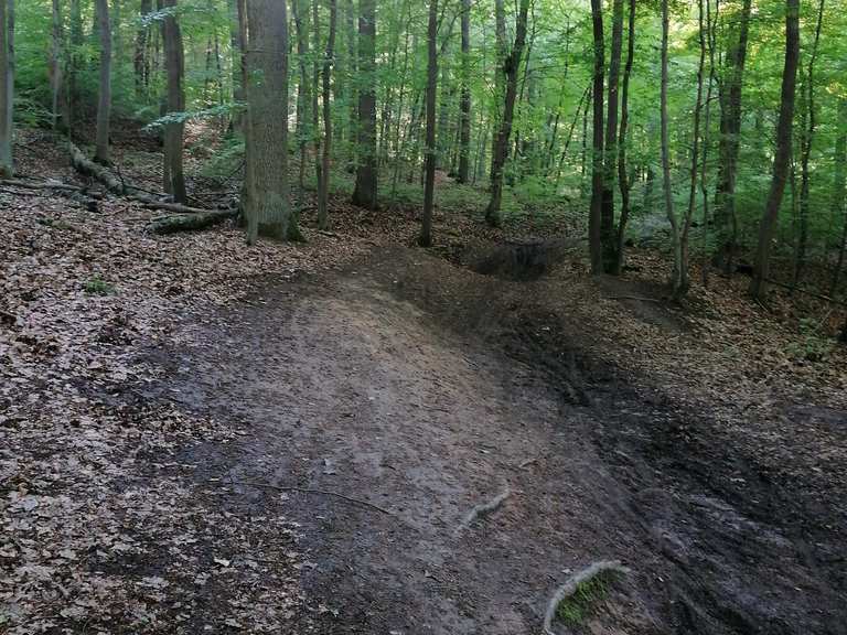 theo wirth mountain bike trails