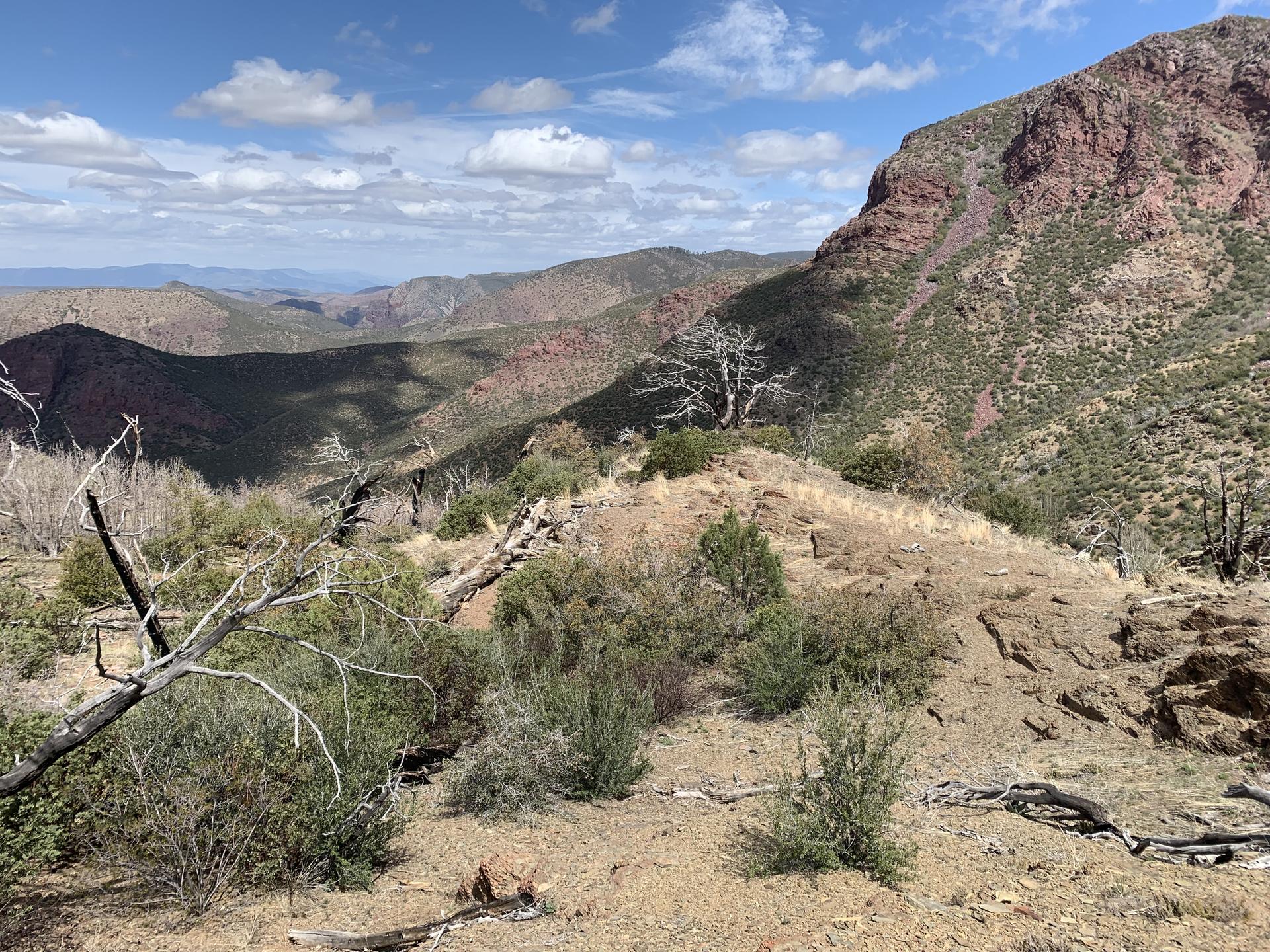 Sunny view of a rocky mountain landscape with dry brush and distant peaks.