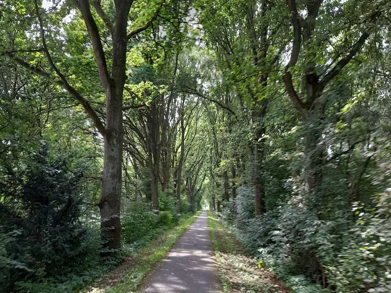 Grüner Tunnel - Cycle Routes and Map | Komoot