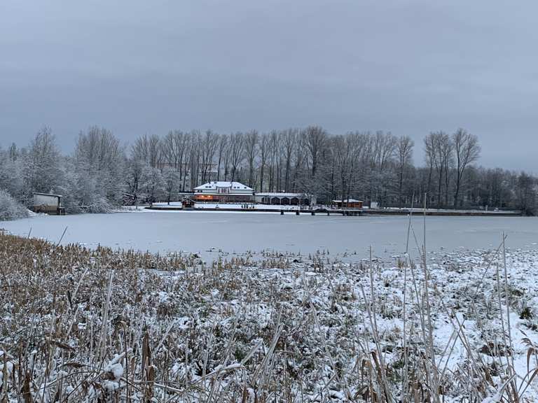 Großer Teich LimbachOberfrohna, Zwickau Wandertipps & Fotos Komoot