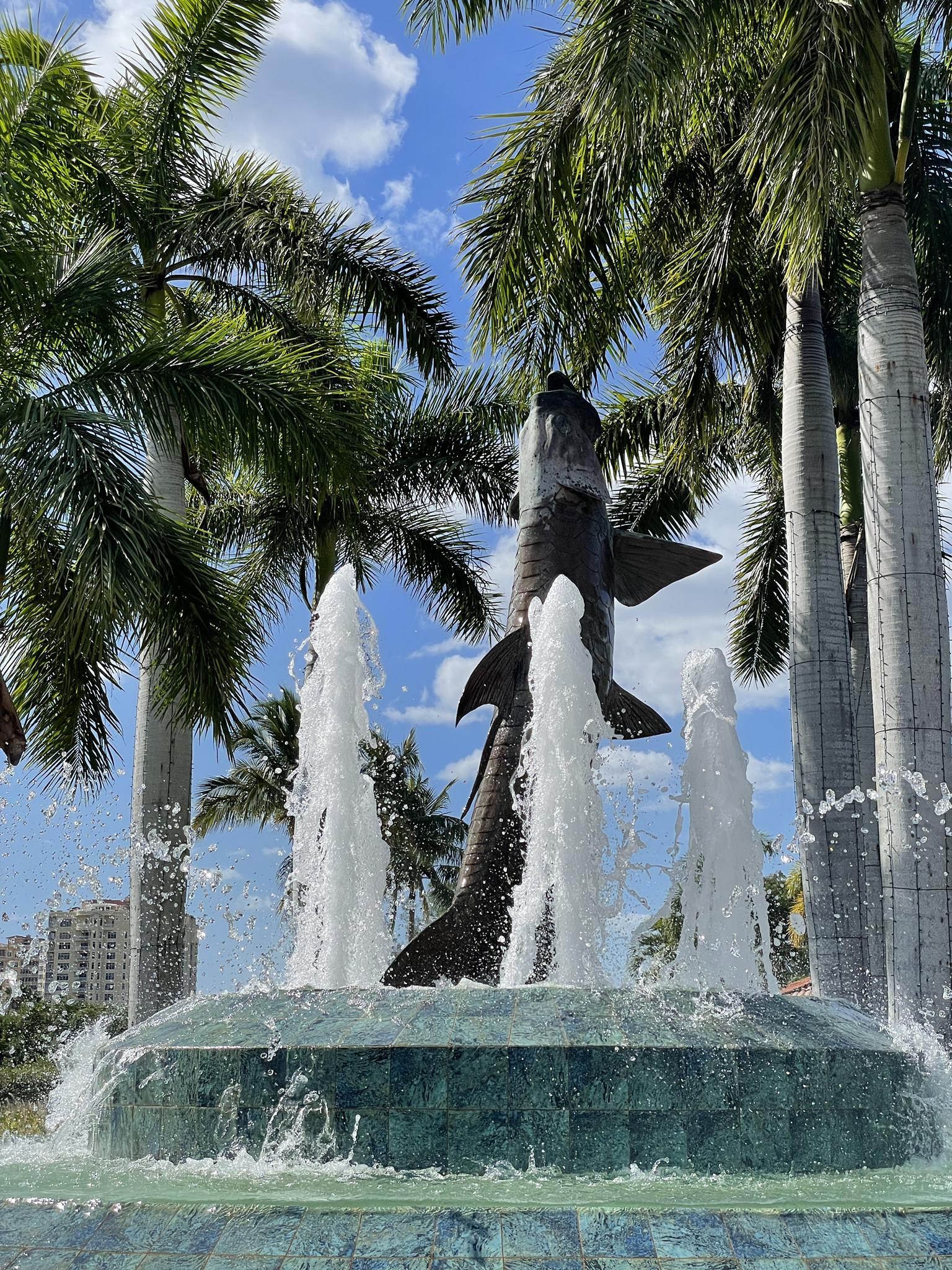 A shark statue in a fountain surrounded by tall palm trees on a sunny day.