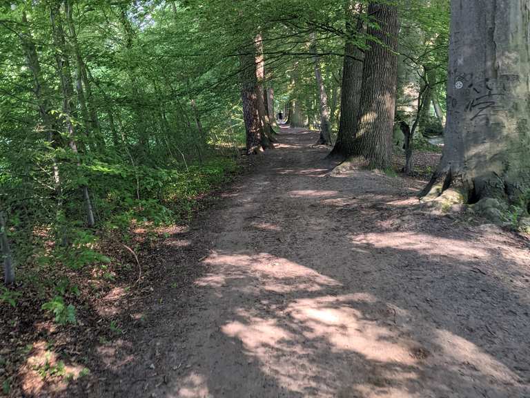 Lutter Wald NordrheinWestfalen, Deutschland Radtouren