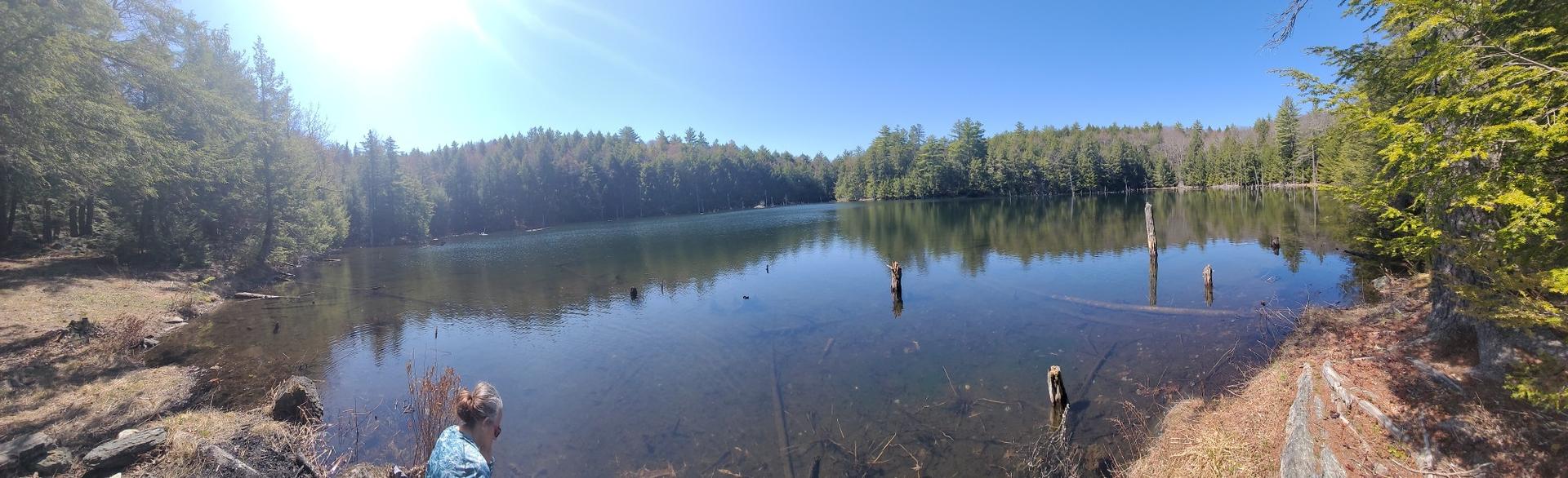 Calm lake reflecting a dense forest under a bright, sunny, blue sky.