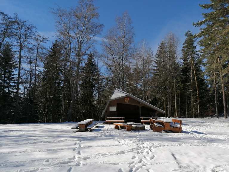 Wolfsberghütte mit Grill und Spielplatz Routes for Walking and Hiking |  Komoot