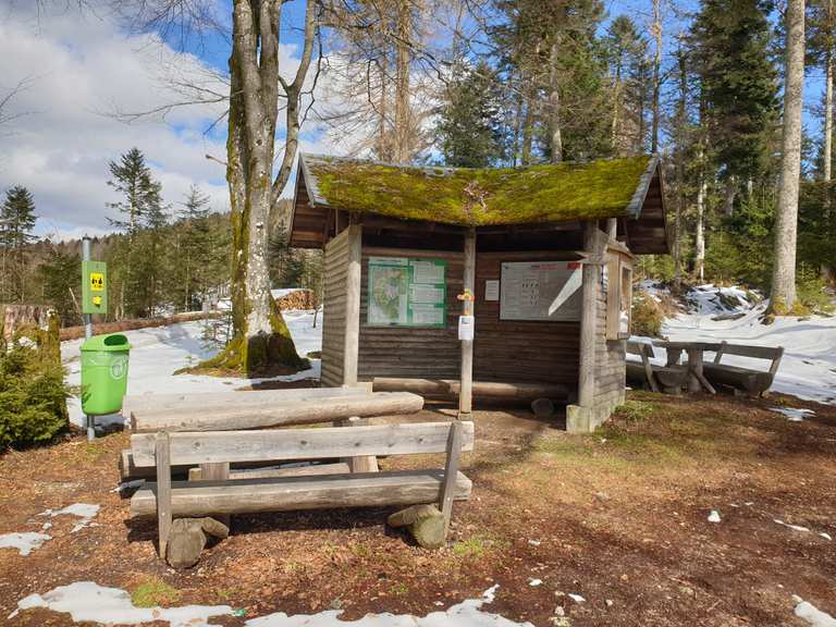 Rohrberghütte: Wanderungen und Rundwege | komoot