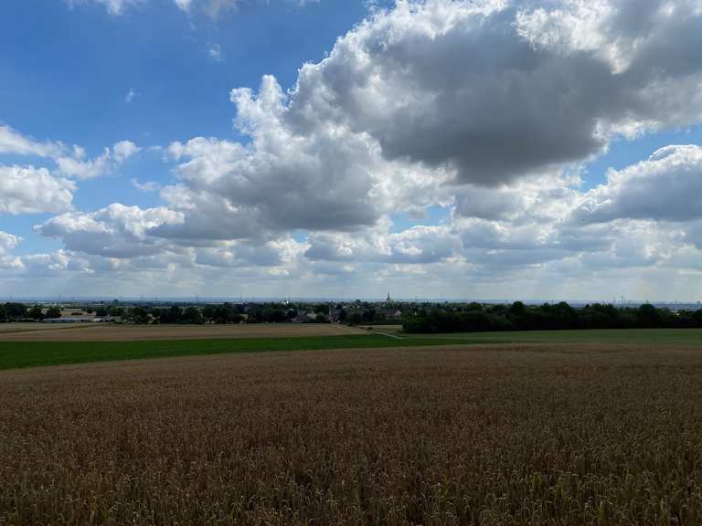 Königsdorfer Wald fietsroutes en kaart | Komoot