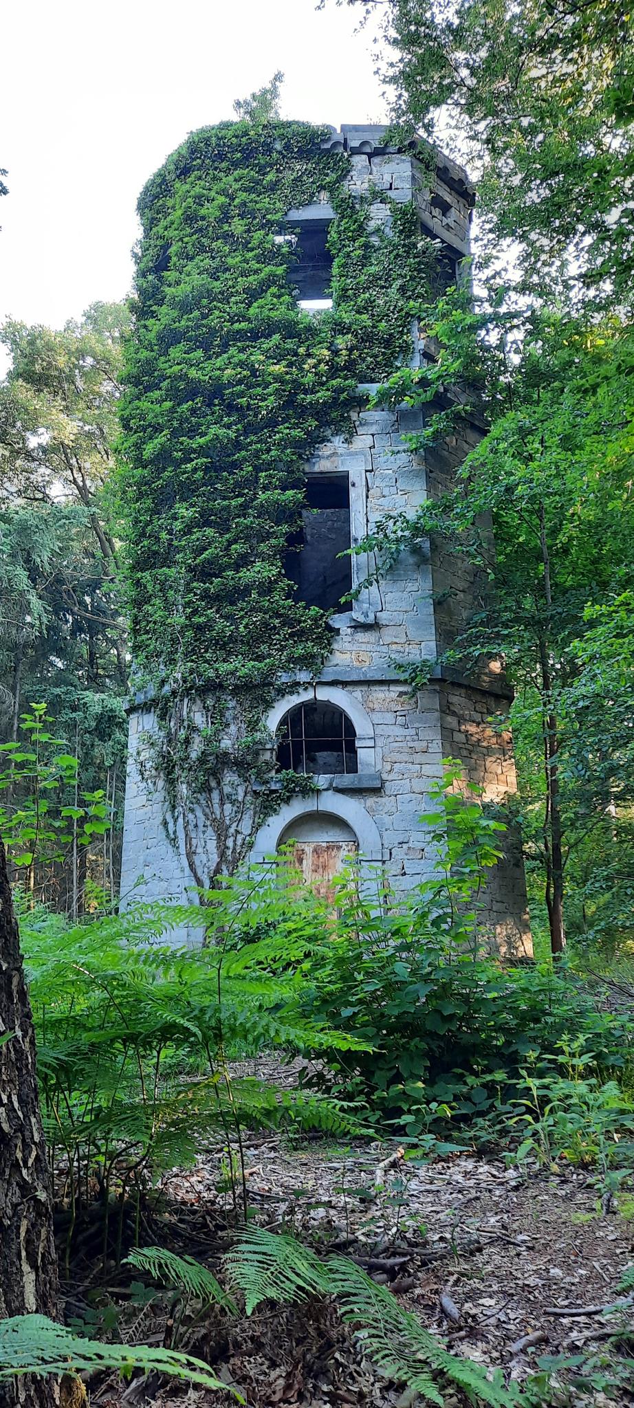 Lost Place Turmruine: Wanderungen Und Rundwege | Komoot