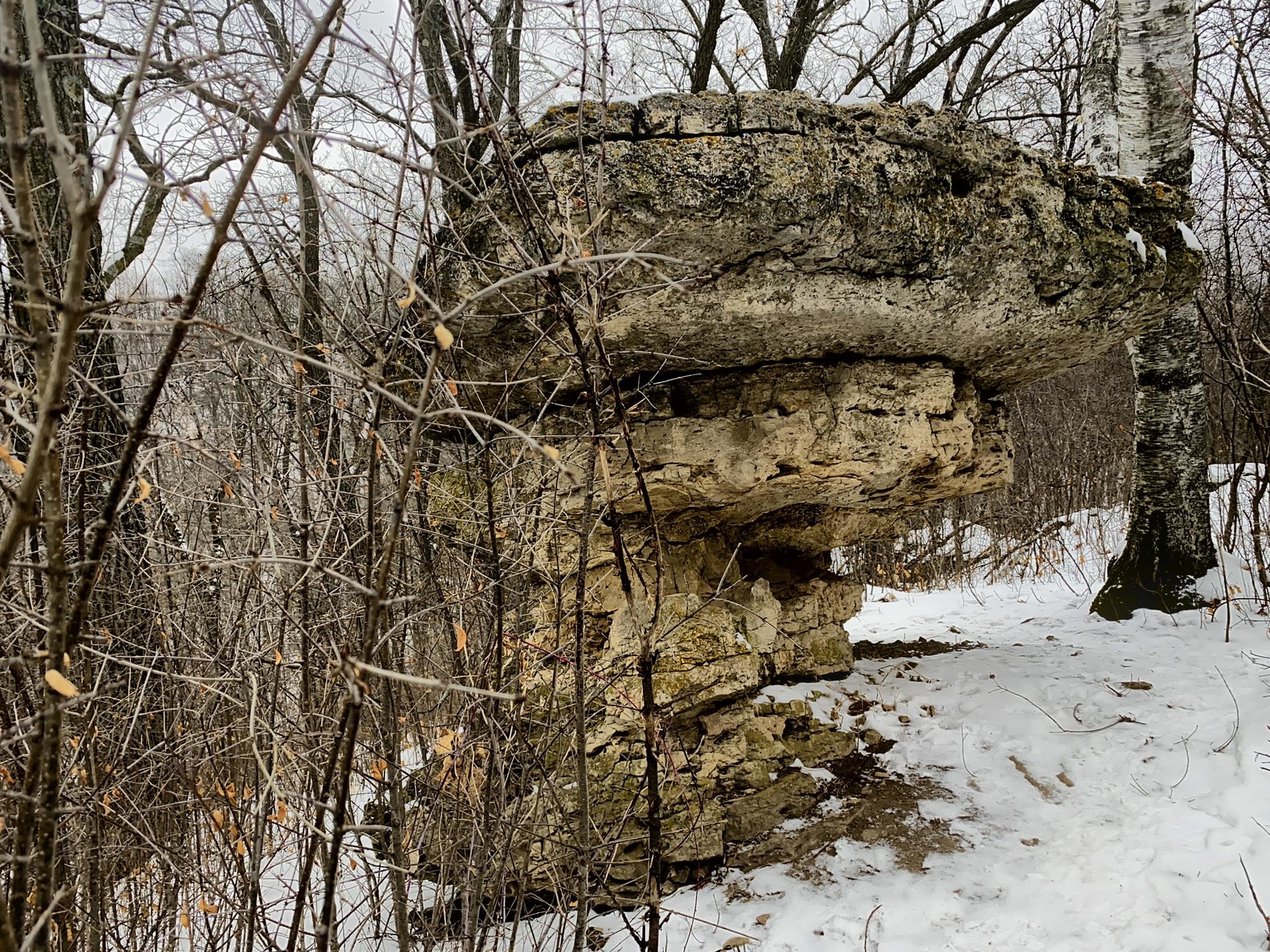 Mushroom-shaped rock formation in a snowy, bare winter forest.