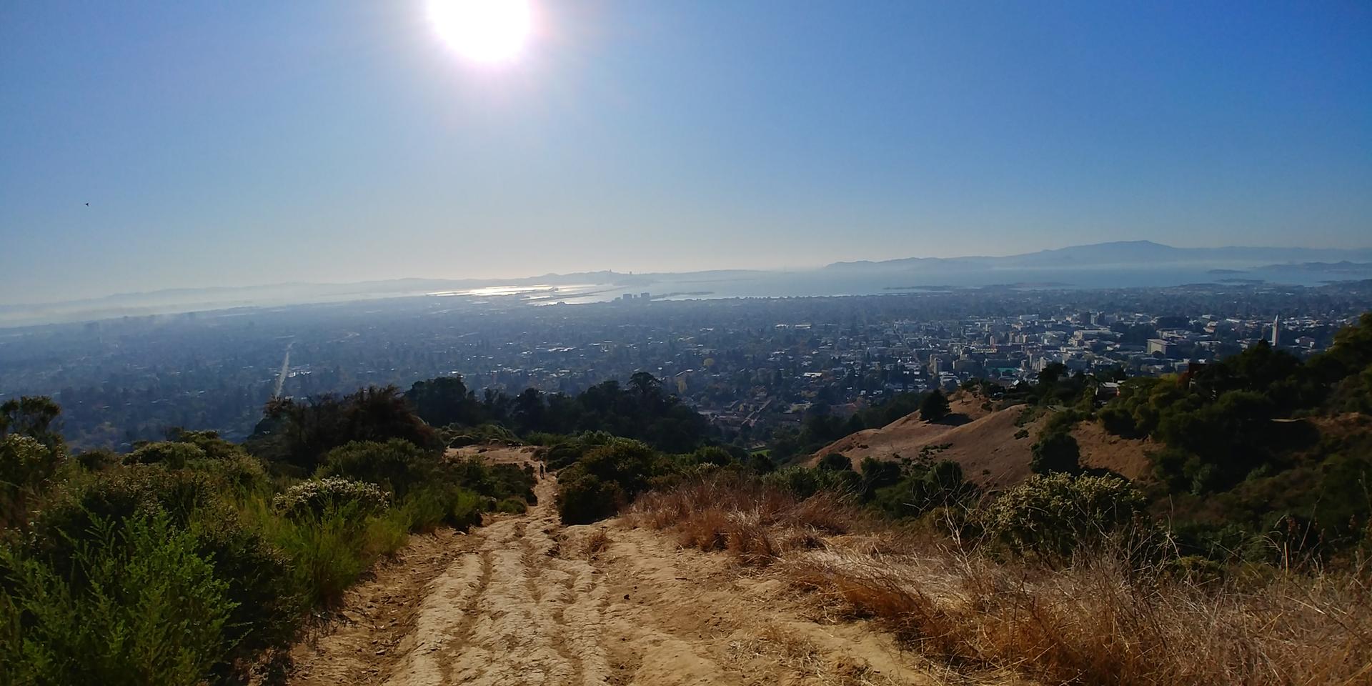 Sunny, hazy view of a city and water from a dusty hillside path.