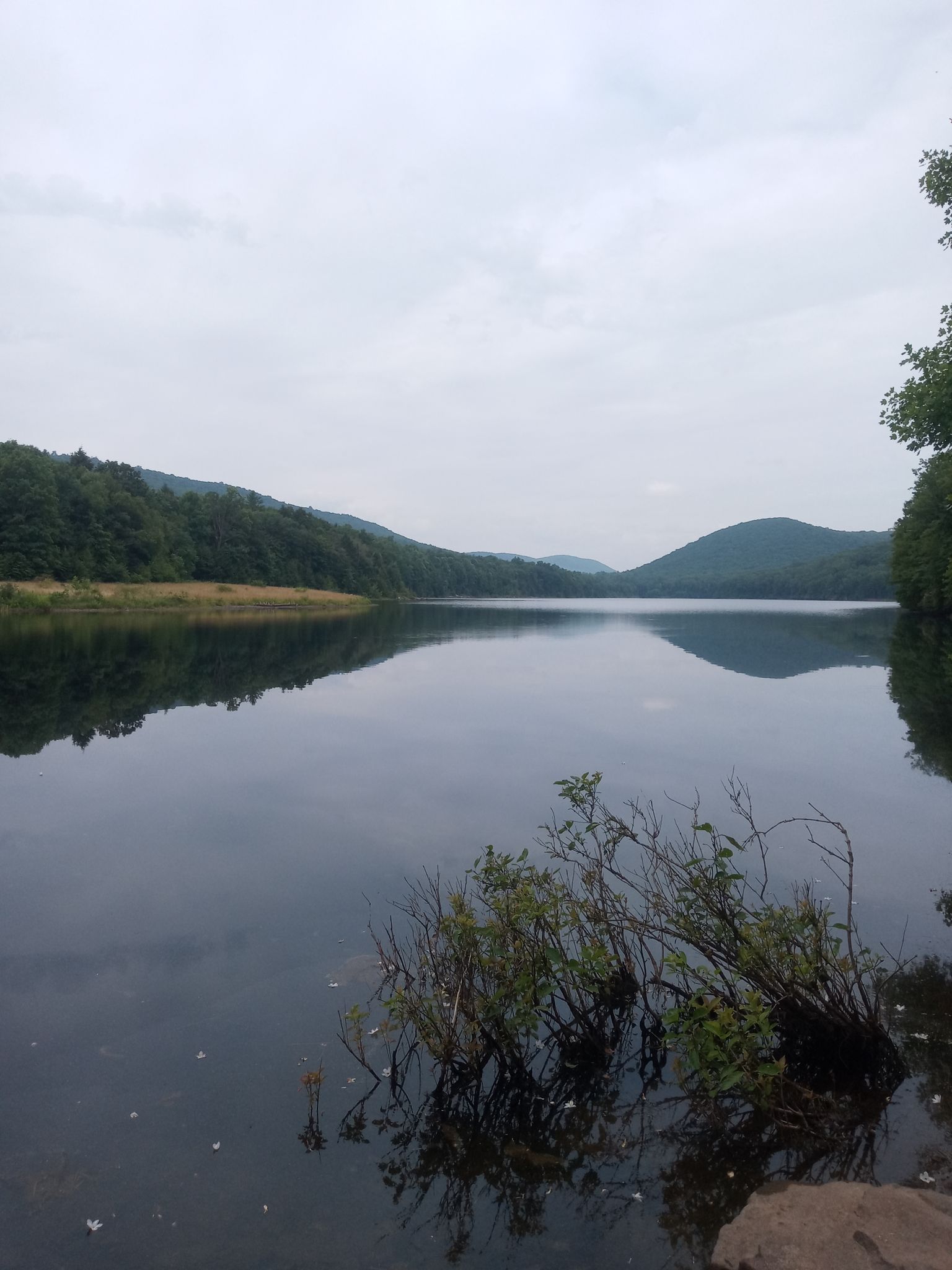 Calm lake reflecting forested hills under an overcast sky, with foreground foliage. - Lebanon Reservoir Trail