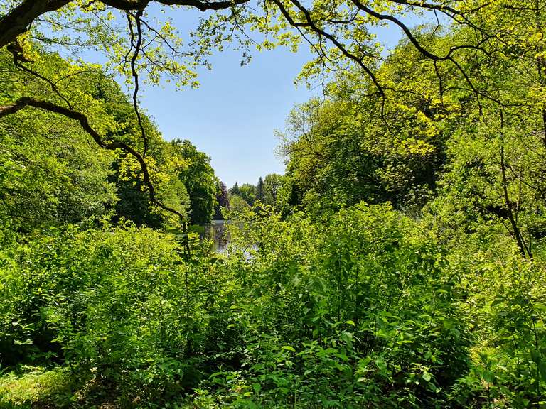 Alter Teich HH Bramfeld Radtouren und Radwege komoot