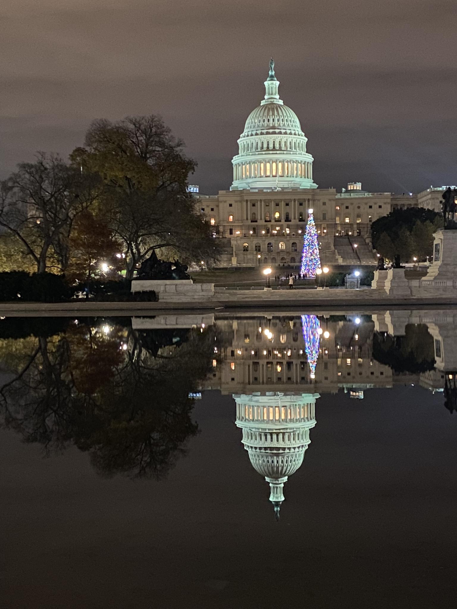 Illuminated domed building and Christmas tree reflected in water at night.