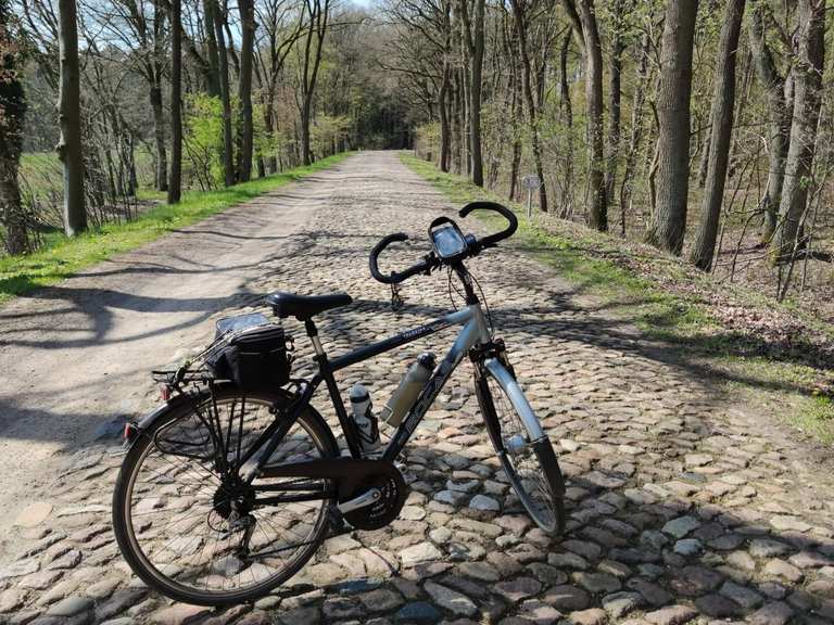 "Allee des Jahres" 2015 Kirchlinteln, Verden Radtouren