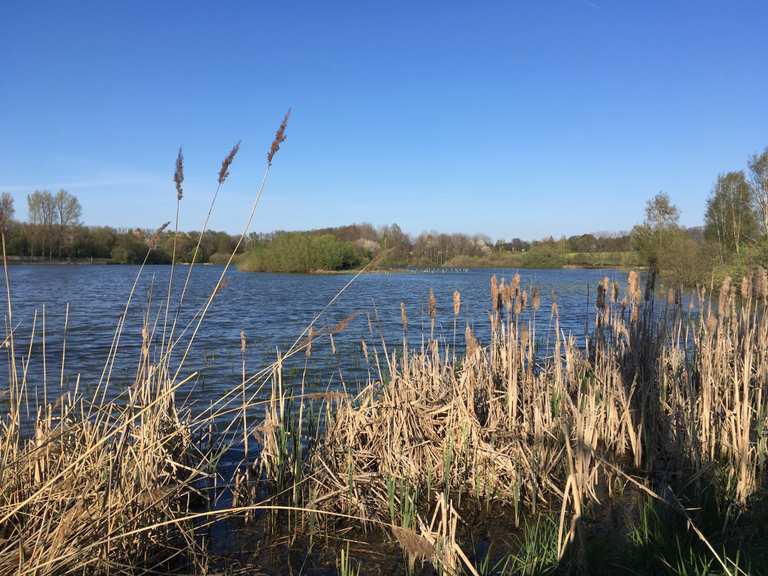 Großer Teich LimbachOberfrohna, Zwickau Wandertipps & Fotos Komoot