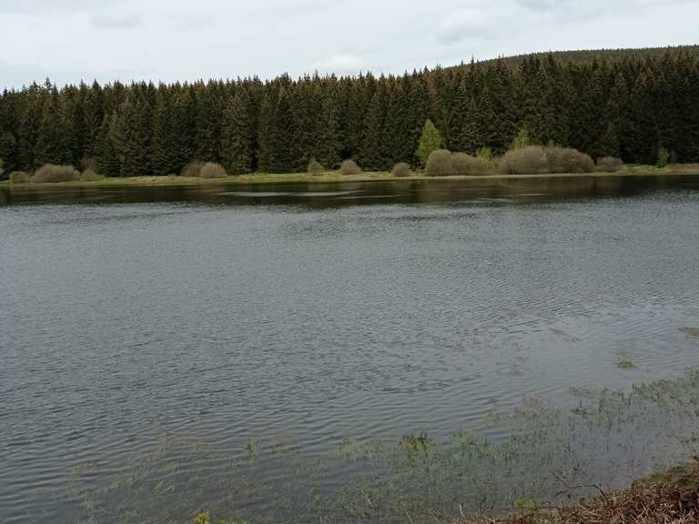 Zankwieser Teich Wanderungen und Rundwege komoot