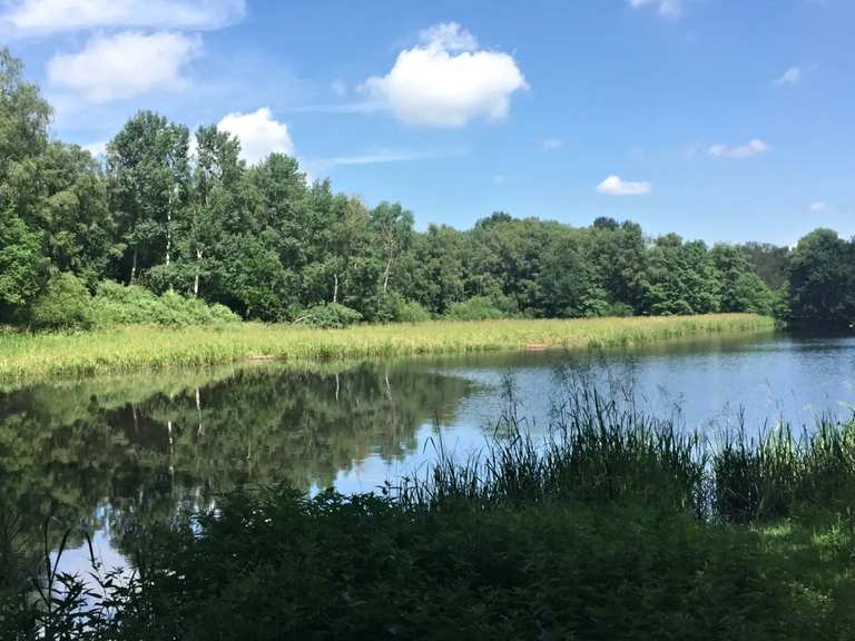 Ahlhorner Teichwirtschaft Ahlhoner Fischteiche Rondje vanuit Emstek