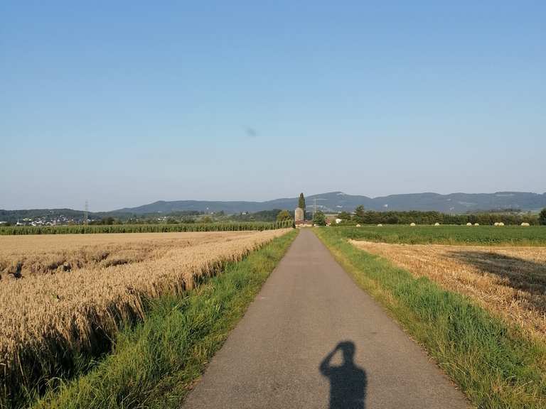 Veloweg in Richtung Aesch Hügel bei Aesch Runde von Basel St. Jakob