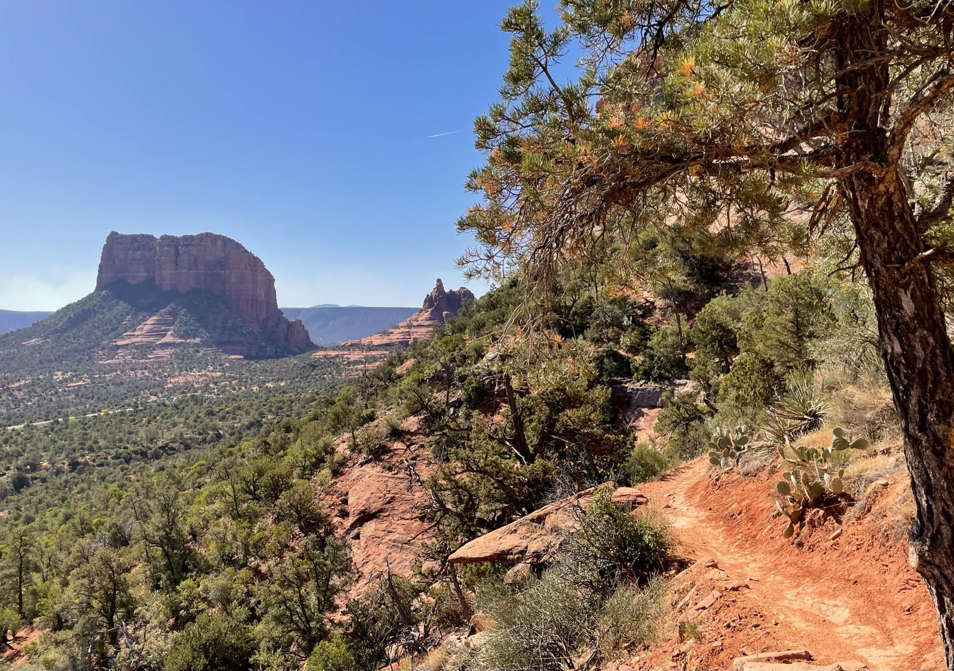 Red rock landscape with a dirt trail and green trees under a clear sky.