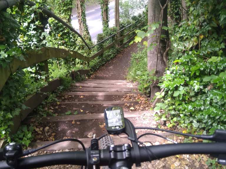 Gardham Road to South Dalton Beverley West Wood loop from Beverley