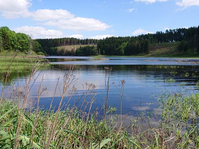 Mandelholz Talsperre Mandelholztalsperre Runde von Rothehütte
