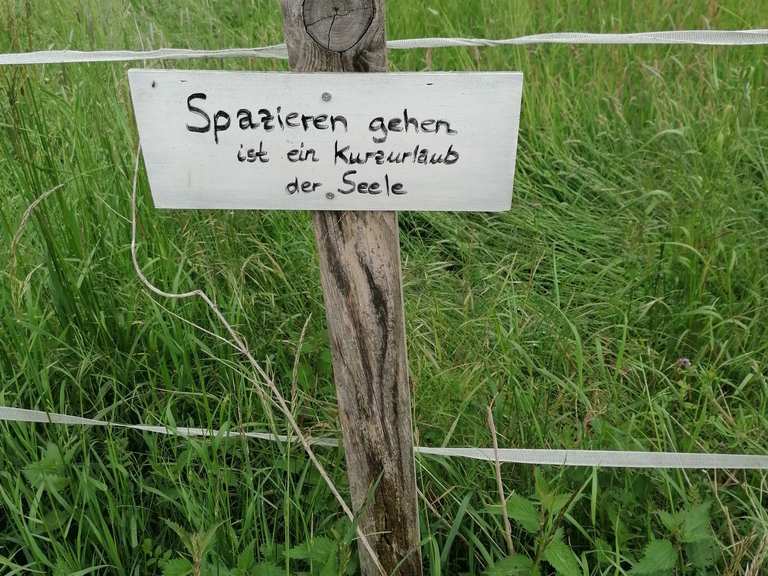 SchöneSprücheWeg Teich Dornwiese Runde von Bonsweiher Wanderung
