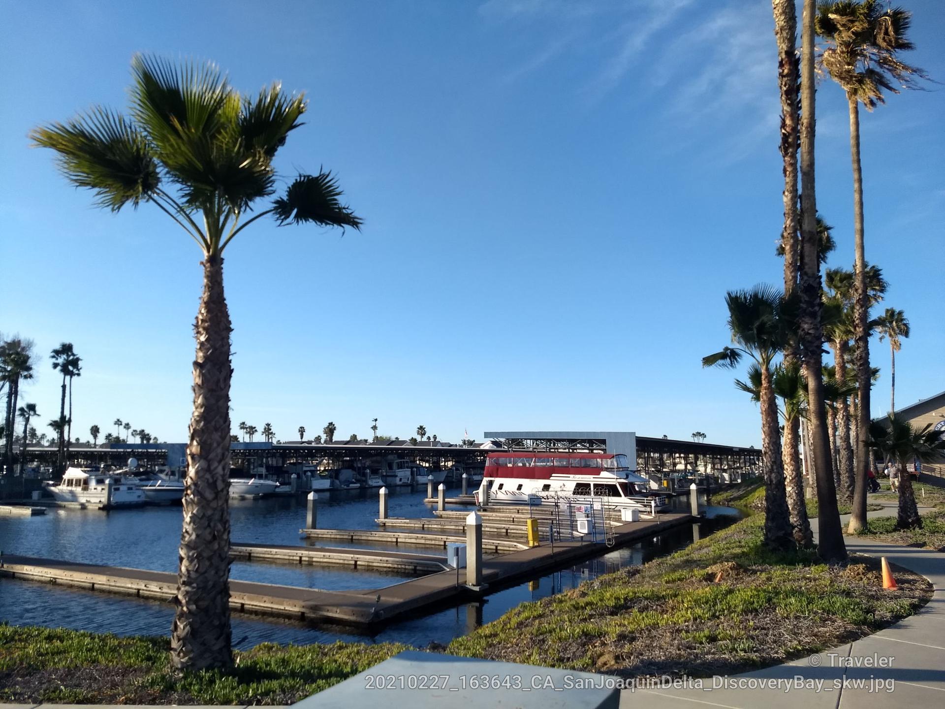 A sunny marina with boats docked, framed by tall palm trees.