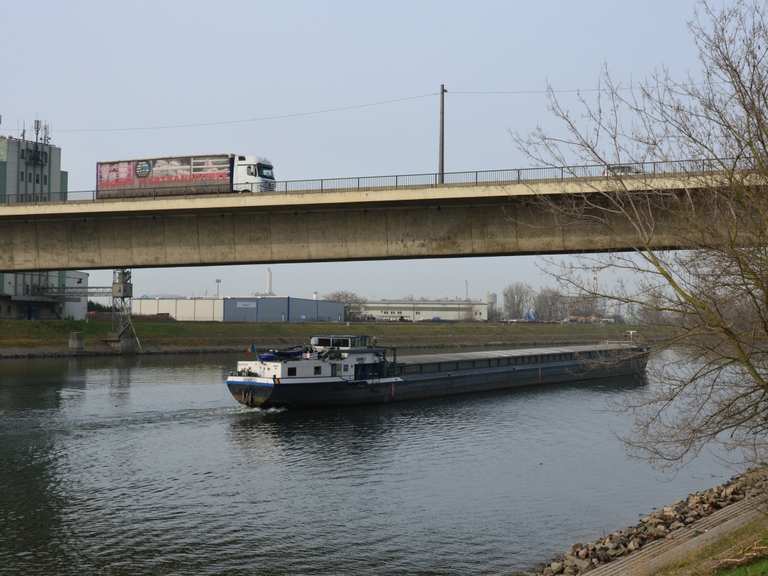 Altrhein bei Mannheim Sandhofen Kurpfalz, Deutschland