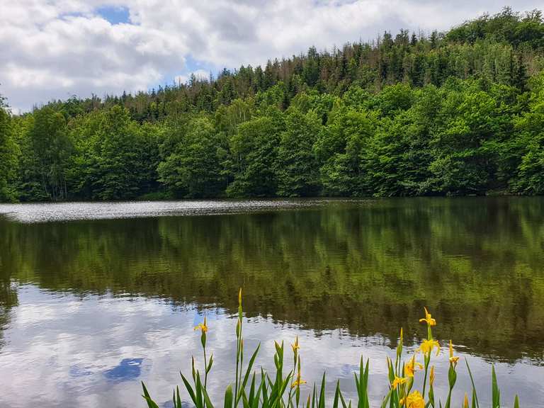Der Heilige Teich Wanderungen und Rundwege komoot