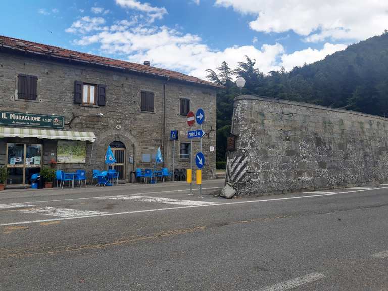 Passo del Muraglione Road Cycle Routes and Map | Komoot