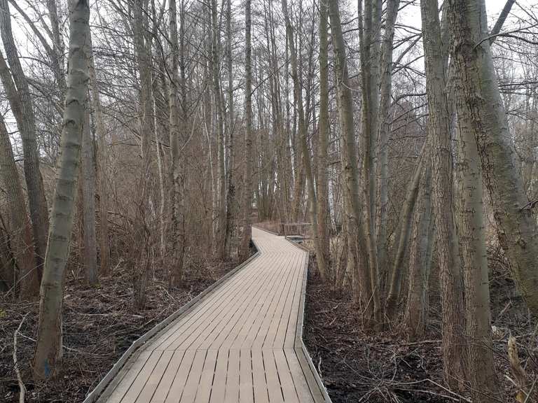 Unterwegs am Tegeler Fließ – Eichwerder Moorwiesen Runde von Mühlenbeck