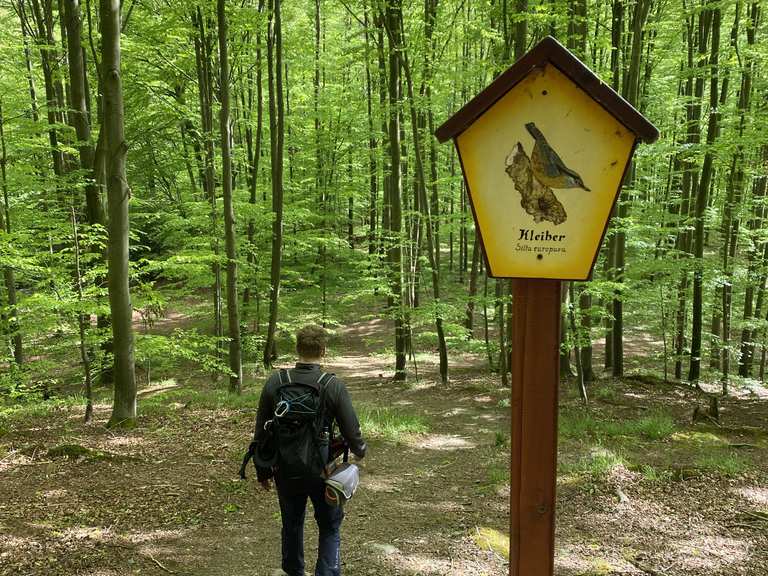 Schloß Burgk – Ausblick auf die Holzbrücke Runde von Remptendorf ...