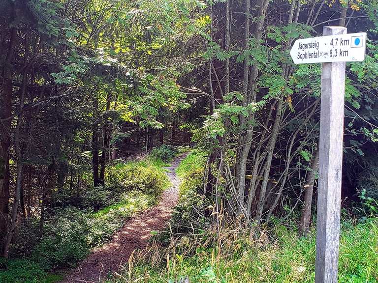 Warmensteinacher Jägersteig MountainbikeTouren komoot