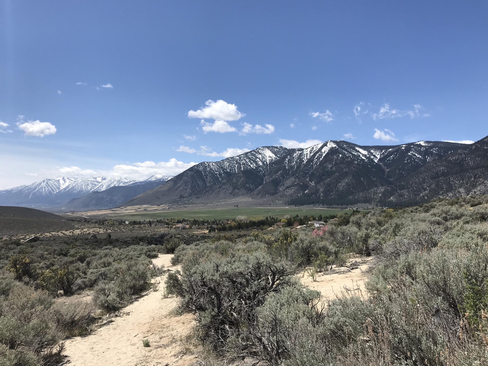 Desert path winding through sagebrush with snow-capped mountains in the distance.