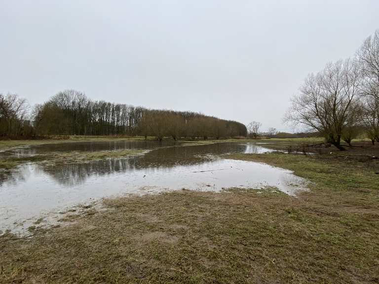 Drei Teiche bei Hungen Trais Horloffer See Runde von Hungen
