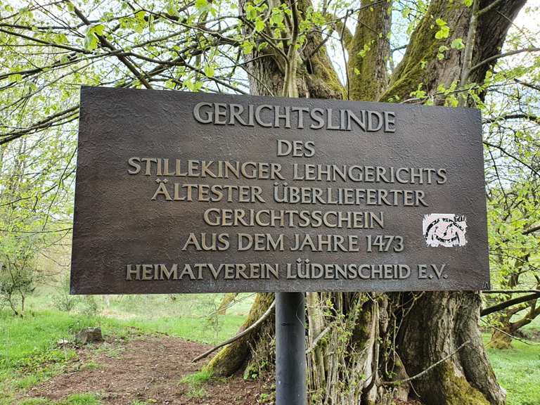 Gerichtslinde Wanderungen und Rundwege komoot
