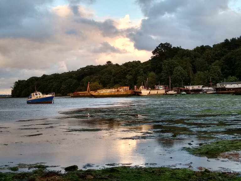 Shotley Peninsula & Pin Mill loop from Woolverstone — Suffolk Coast