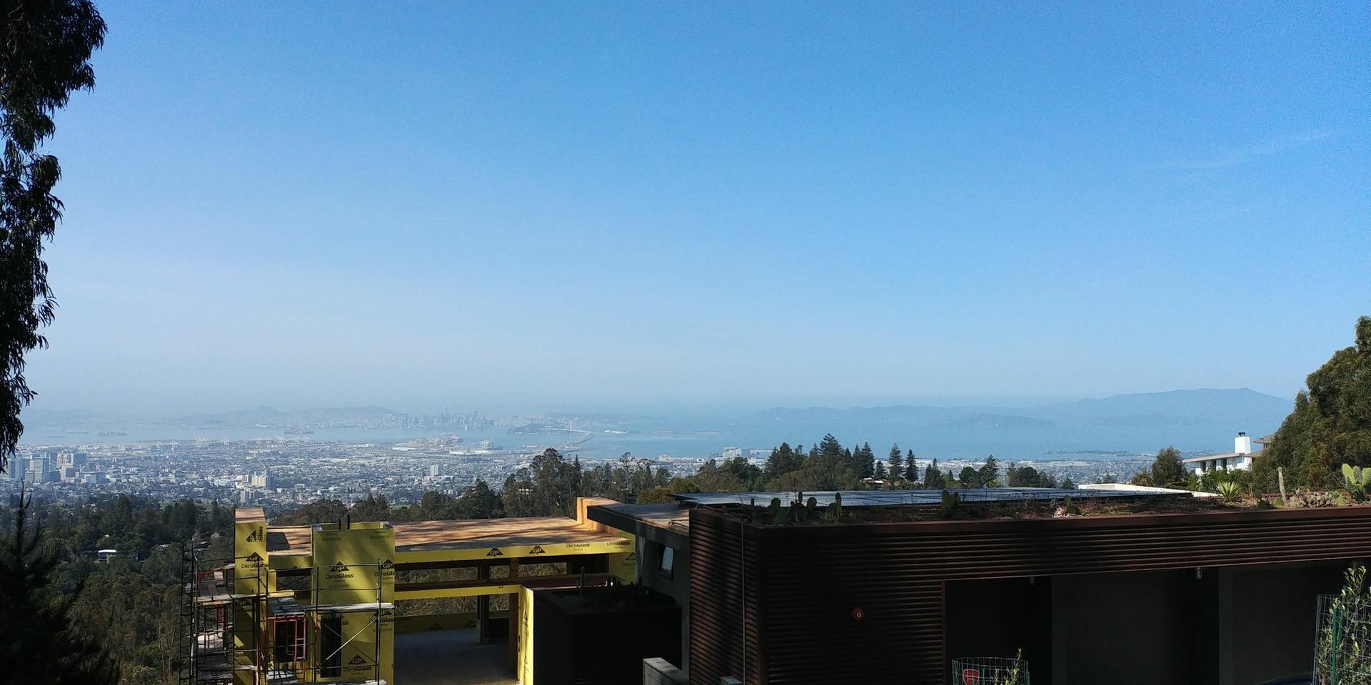City and bay view from a hillside with buildings under construction.