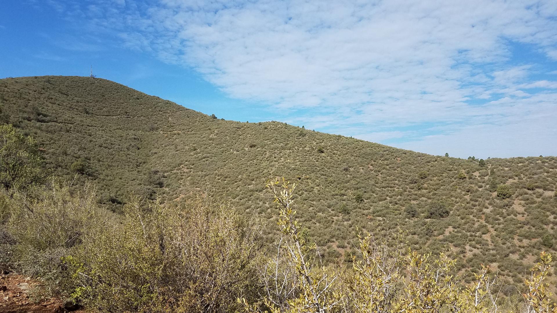 Rolling hills covered in green and brown scrub under a bright blue sky.