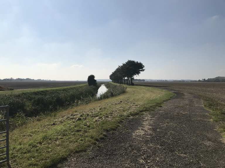 Rye Harbour Nature Reserve & Romney Marshes loop from Rye — High Weald ...