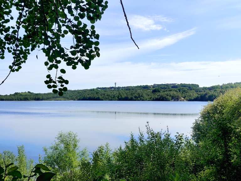 Toller Blick auf den Borkener See : Radtouren und Radwege | komoot
