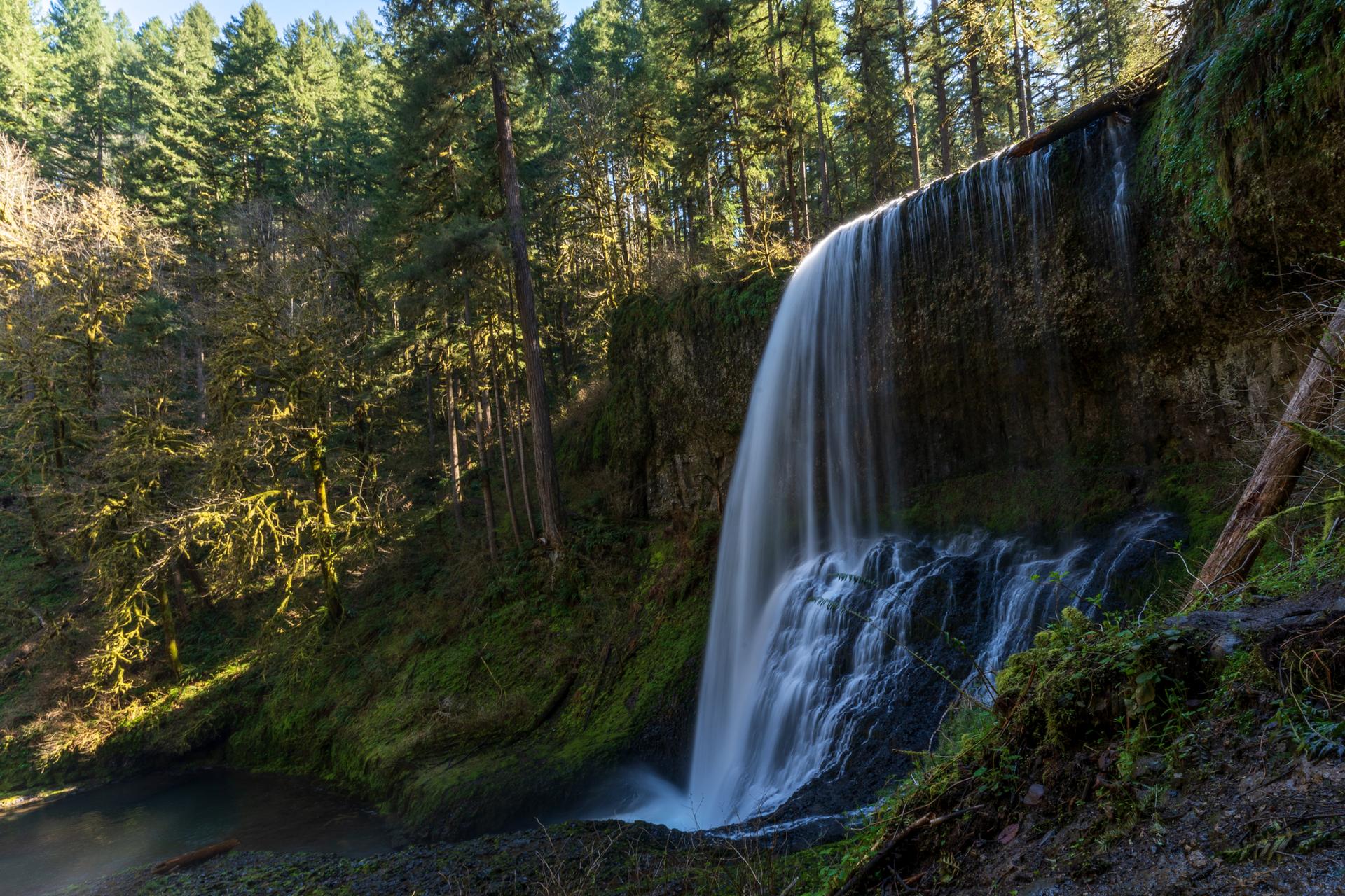 Wide waterfall flowing over a cliff into a river, with sunlit forest.