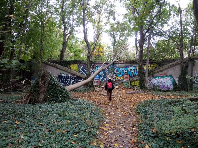 Muttontown Preserve loop via The Walled Garden — Huntington | hike | Komoot