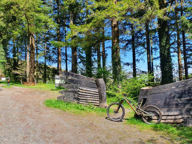 Brechfa forest mountain biking sales